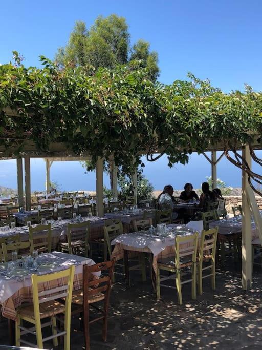 Lemon'S Cottage House, Volissos, Chios エクステリア 写真